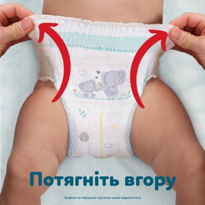 Pampers 8006530315814