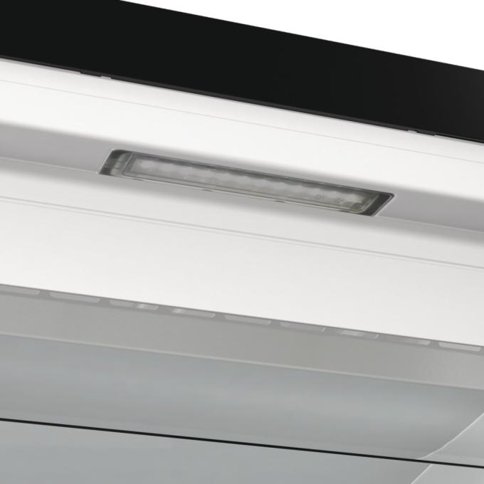 Gorenje FN619EABK6