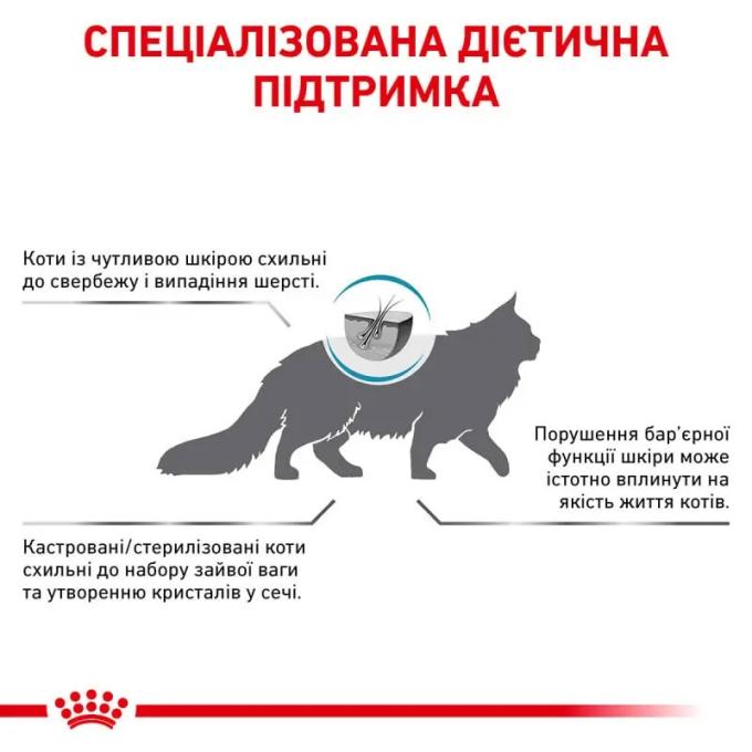 Royal Canin 1323004