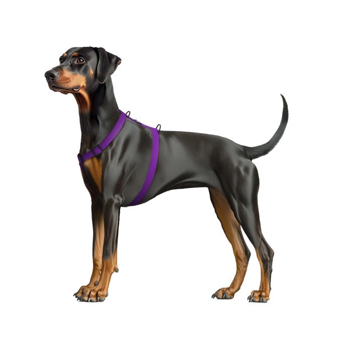 WAUDOG 26249