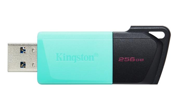 Kingston DTXM/256GB