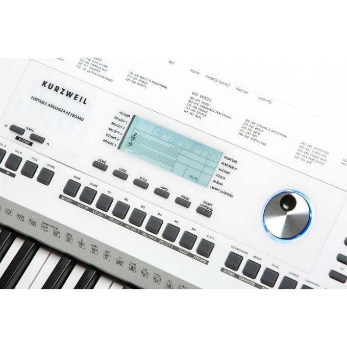 Kurzweil 286763