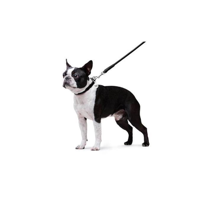 WAUDOG 33771