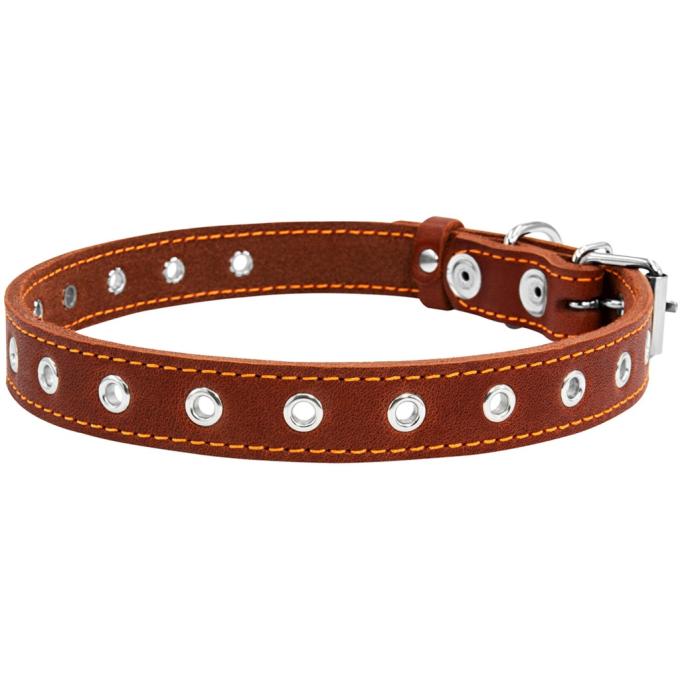 Collar 01516