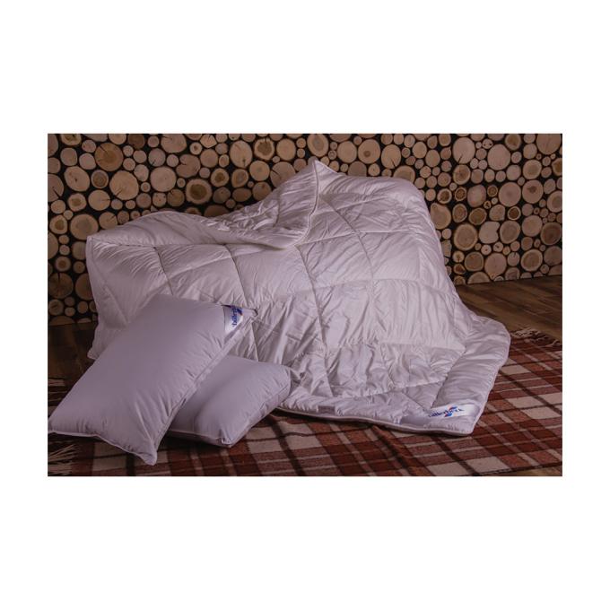 Billerbeck 0101-31/02