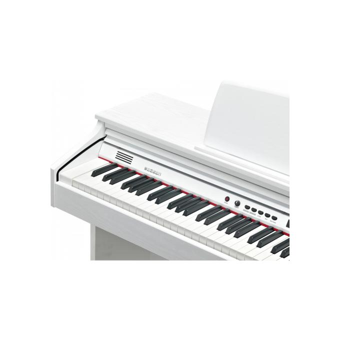 Kurzweil 283886