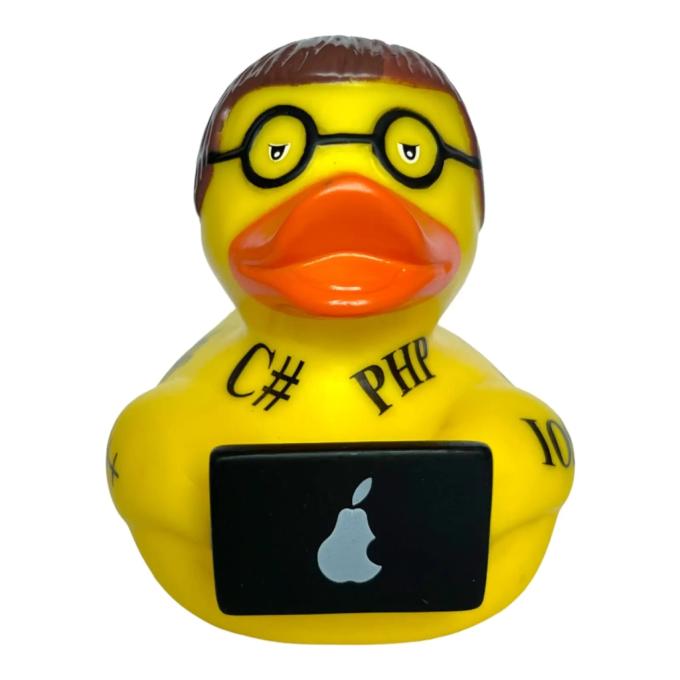 Funny Ducks 1333