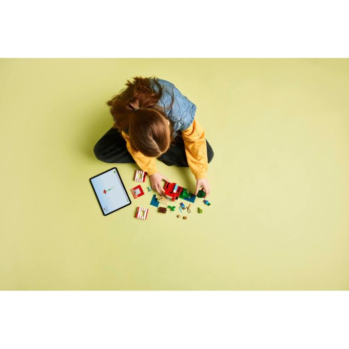 LEGO 21275