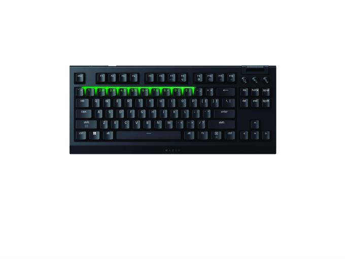 Razer RZ03-05480100-R3M1