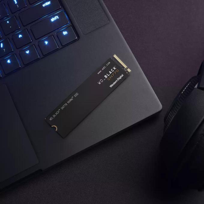 SANDISK WDS250G3X0E
