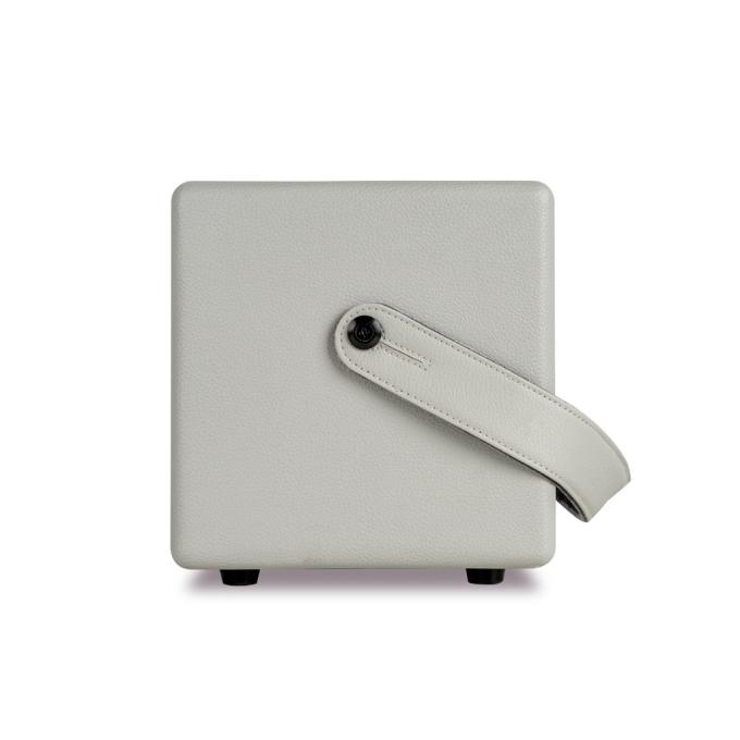 Mooer SD30i