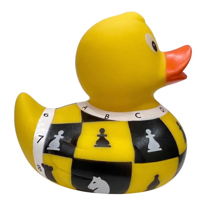 Funny Ducks 1319
