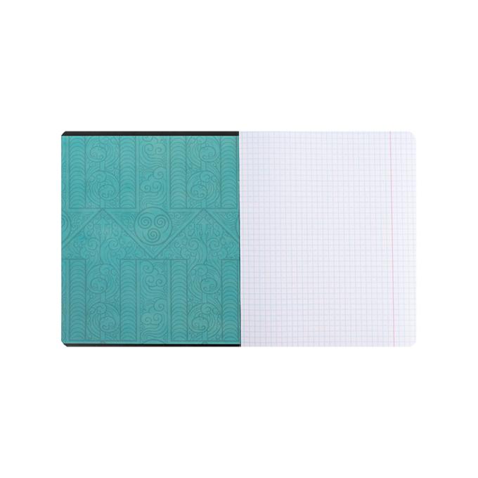 Kite AV24-232