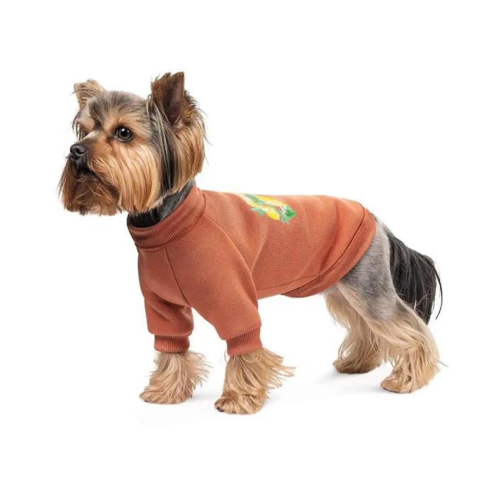 Pet Fashion 4823082434725