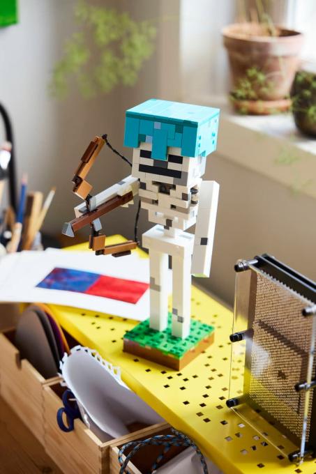 LEGO 21594