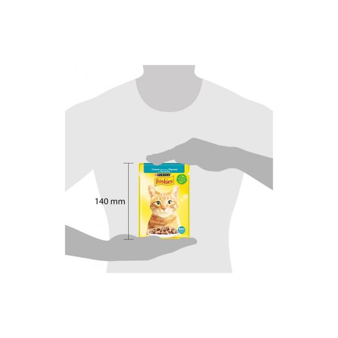 Purina Friskies 7613036962315