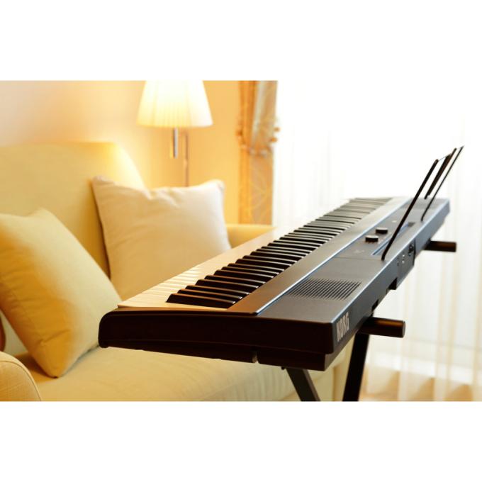 Korg 233800