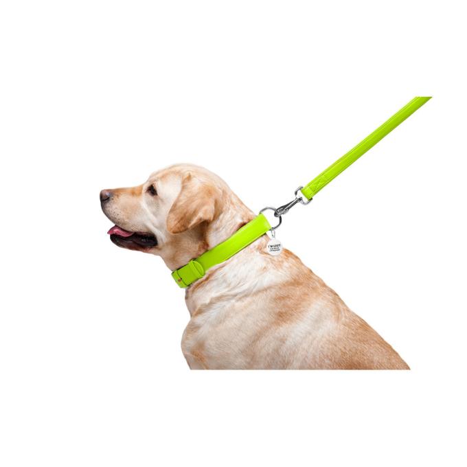 WAUDOG 33765