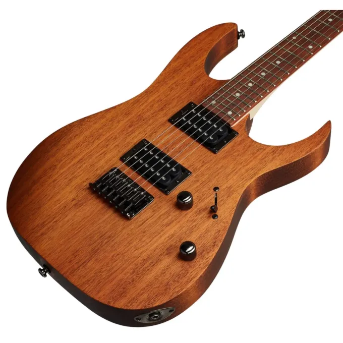 Ibanez 220672