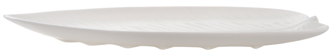 LED B010855