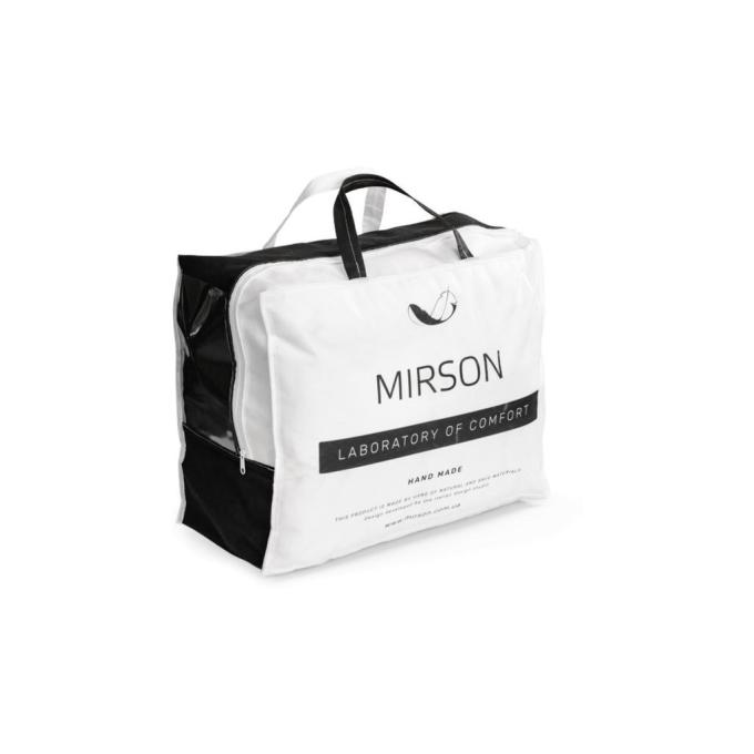MirSon 2200000003188