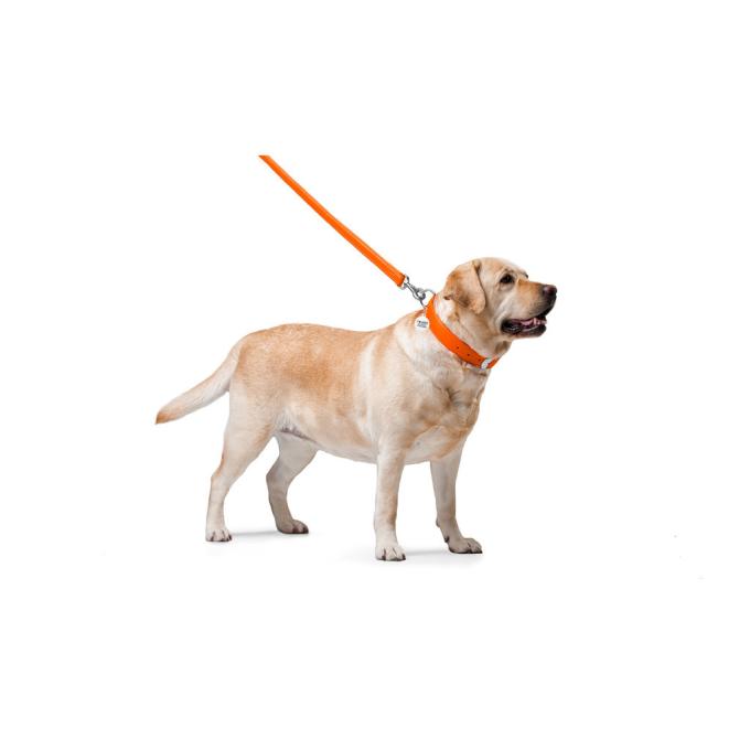WAUDOG 33764