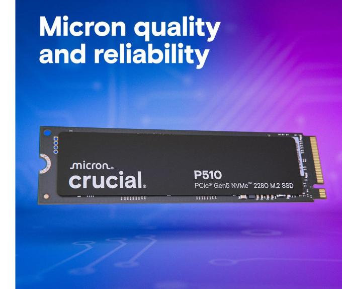 Crucial CT1000P510SSD8