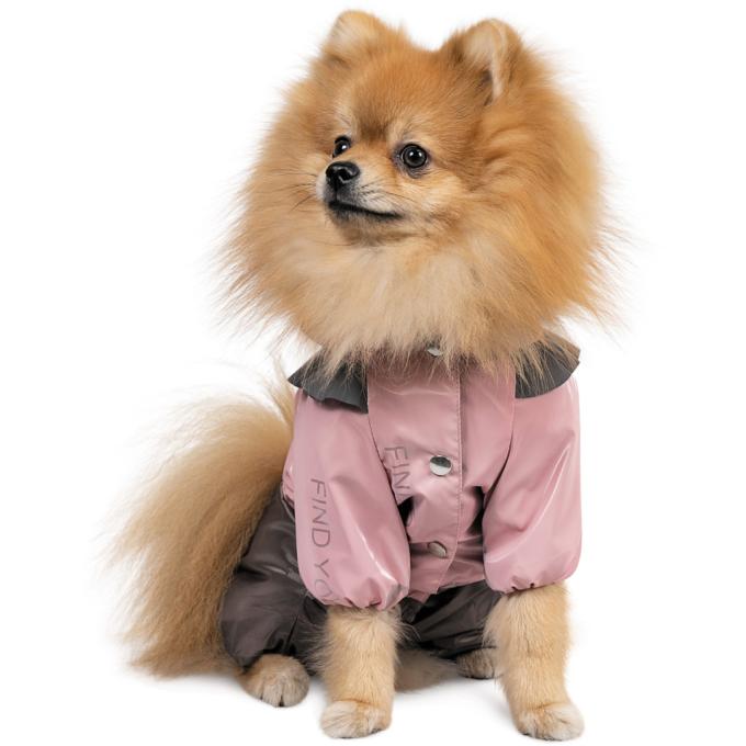 Pet Fashion 4823082429882