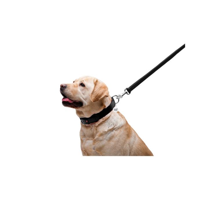 WAUDOG 33761