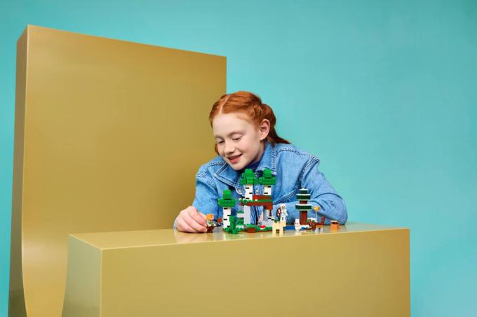 LEGO 21593