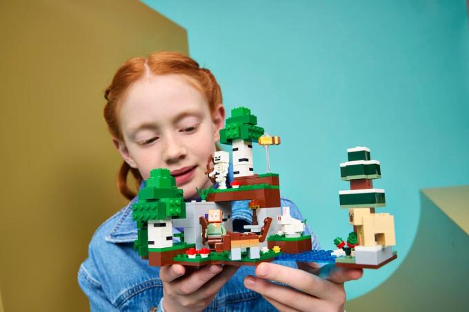LEGO 21593