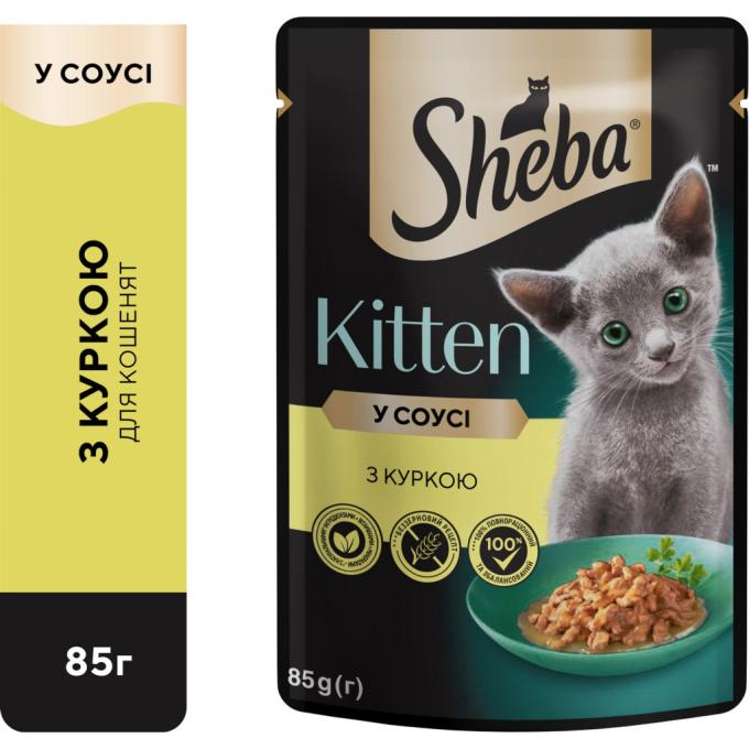 Sheba 4770608264567