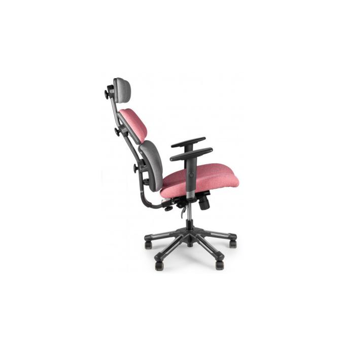 Barsky BHD-05