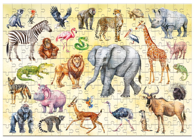 DoDo 300628