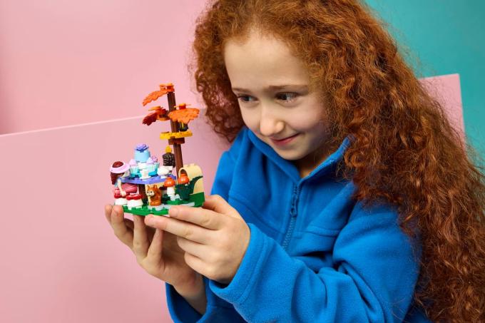 LEGO 42690