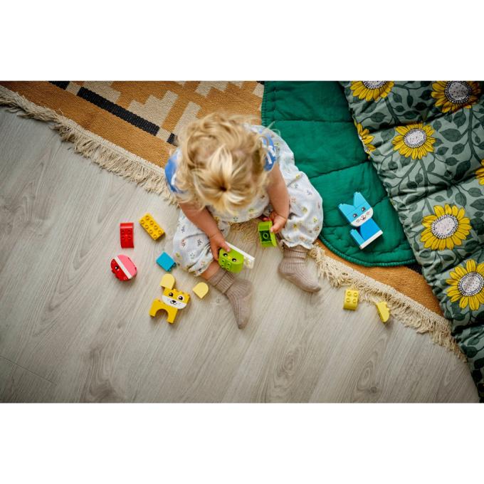 LEGO 10477-