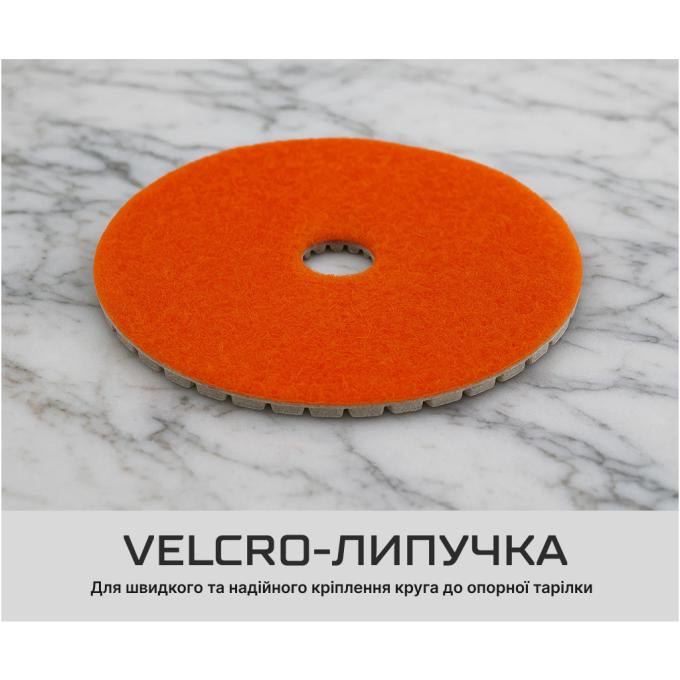 Alloid DD-100180
