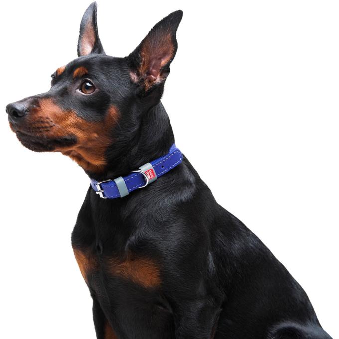 WAUDOG 02029