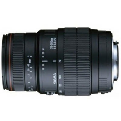 Объектив Sigma AF 70-300 f/4-5.6 DG MACRO for Nikon 5A9955
