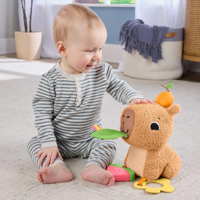 Fisher-Price HYR54