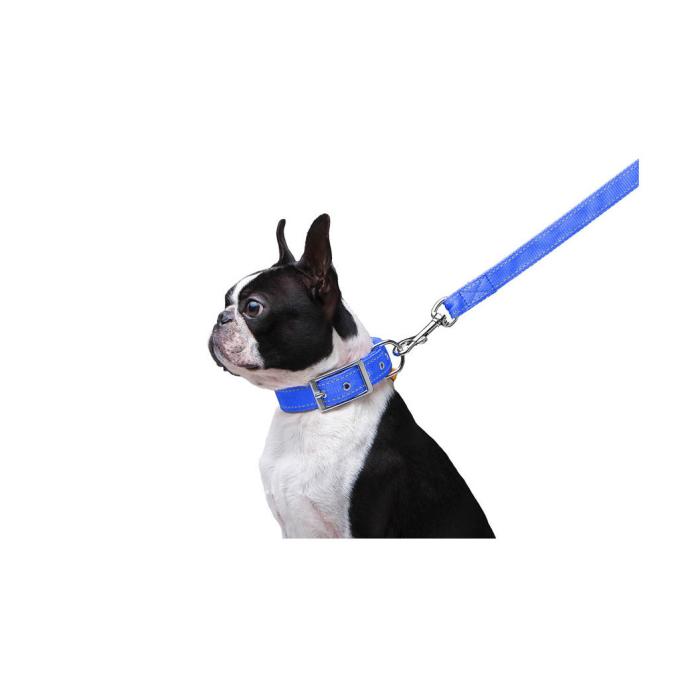 Dog Extreme 42982