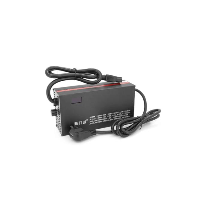 VOLTRONIC YT-4820-TP