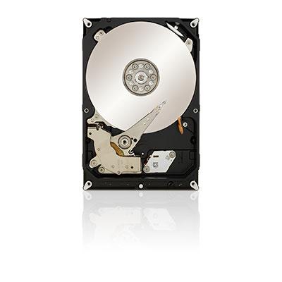 Seagate ST1000DX001