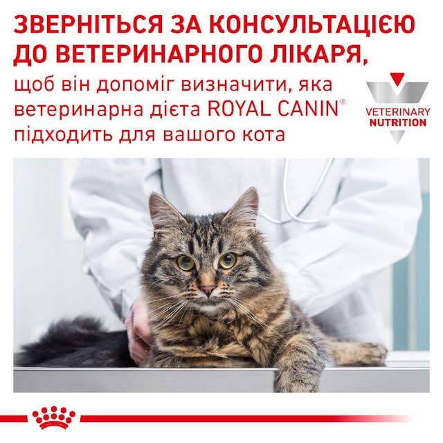 Royal Canin 39090041