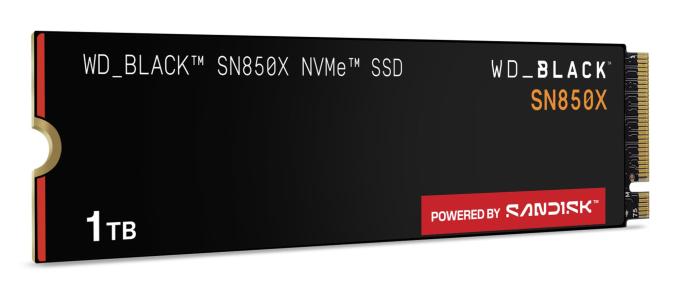 WD WDS100T2X0E