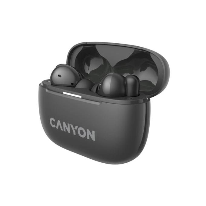Canyon CNS-TWS10B