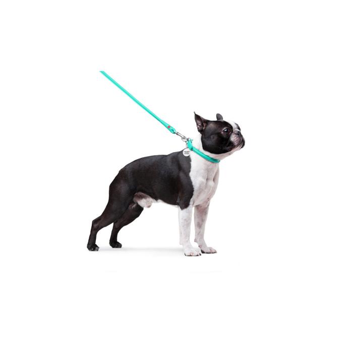 WAUDOG 337713