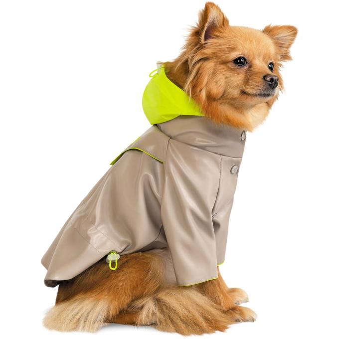 Pet Fashion 4823082427185