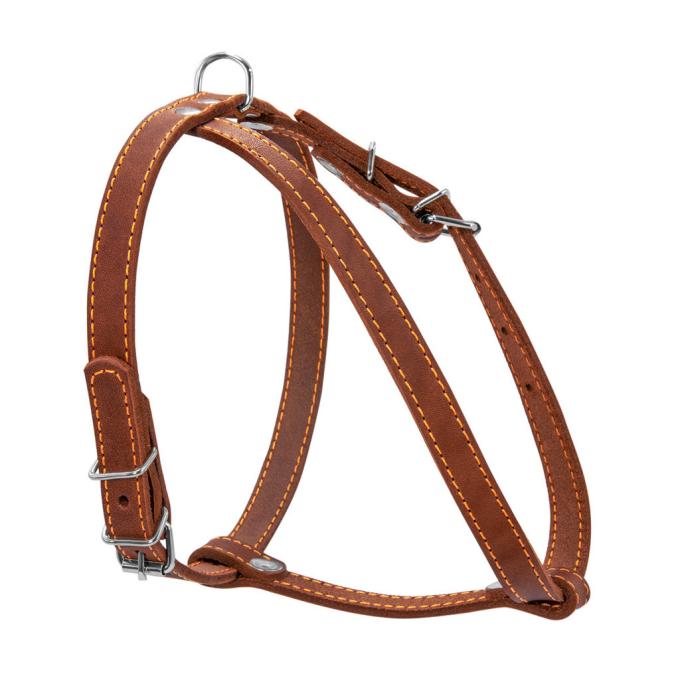 Collar 06346