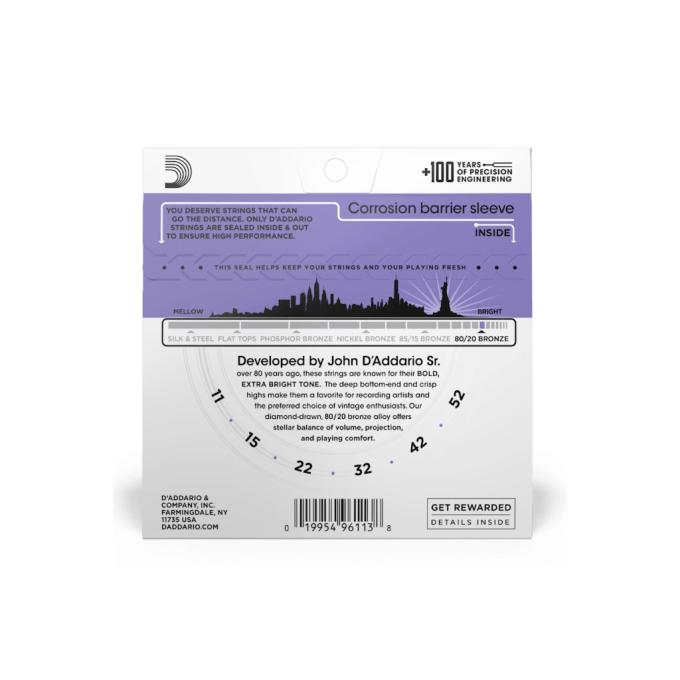 D'Addario EJ13